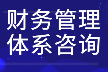 財(cái)務(wù)咨詢(xún)《財(cái)務(wù)管理體系咨詢(xún)》